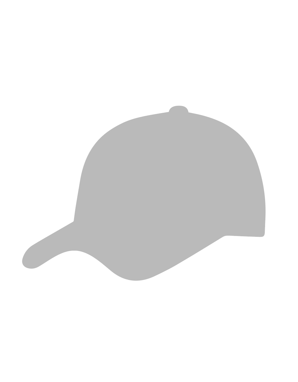 Cap β’ Black / Brown